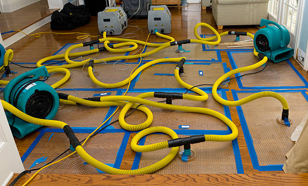 Professional Sewage Cleanup technician working in Liberty, KY